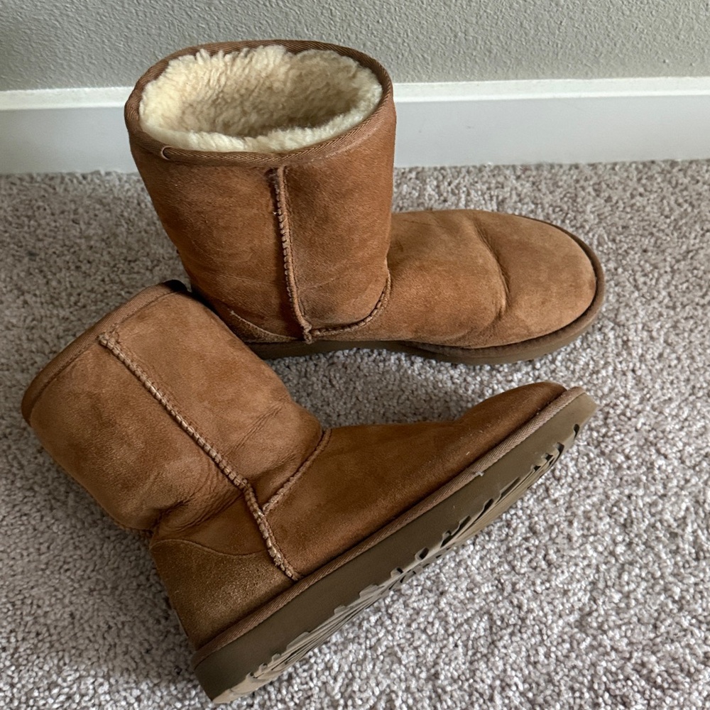 Classic Ugg 8 Chestnut